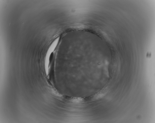 X0000091080576200709041243