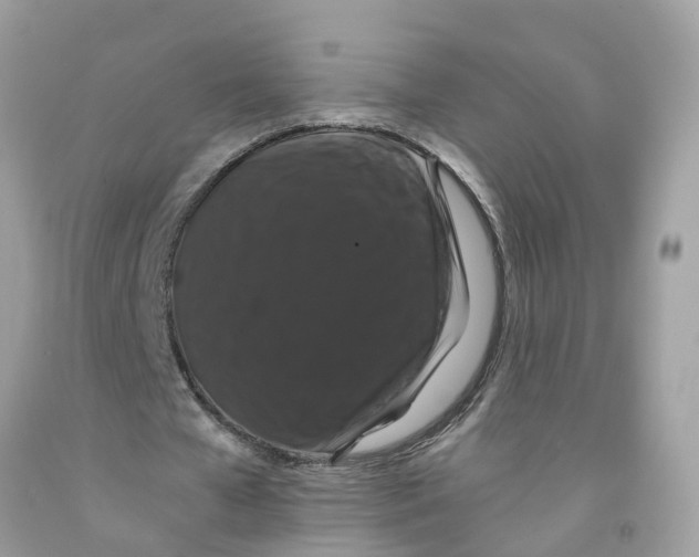 X0000091080577200709041243