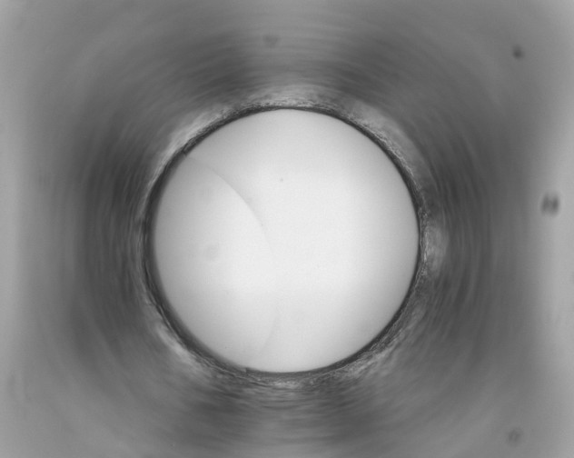 X0000091080578200709041243