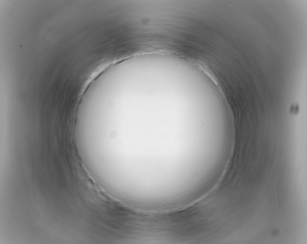 X0000091080579200709041243