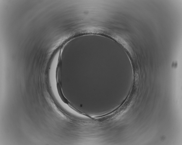 X0000091080581200709041243