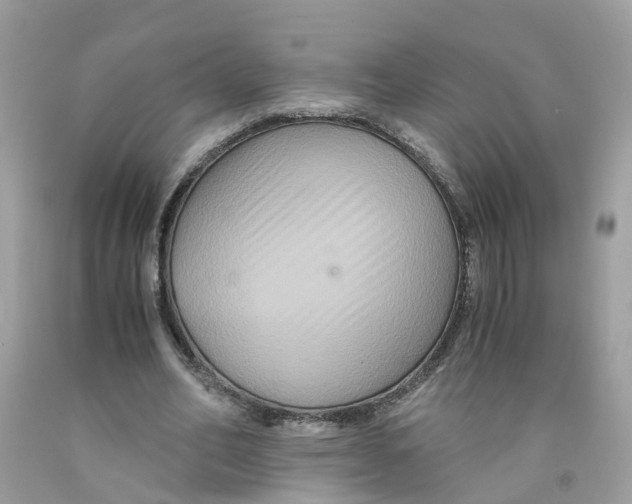 X0000091080582200709041243