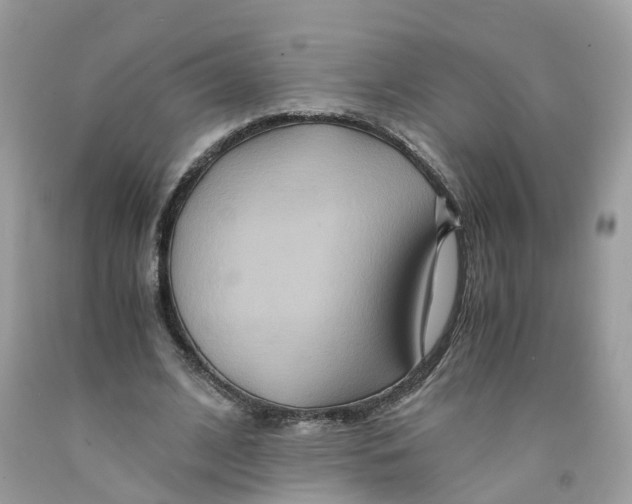 X0000091080584200709041243