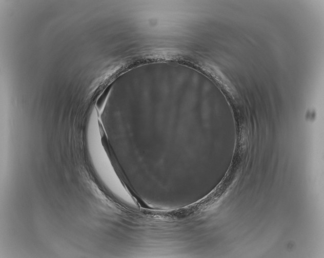 X0000091080585200709041242