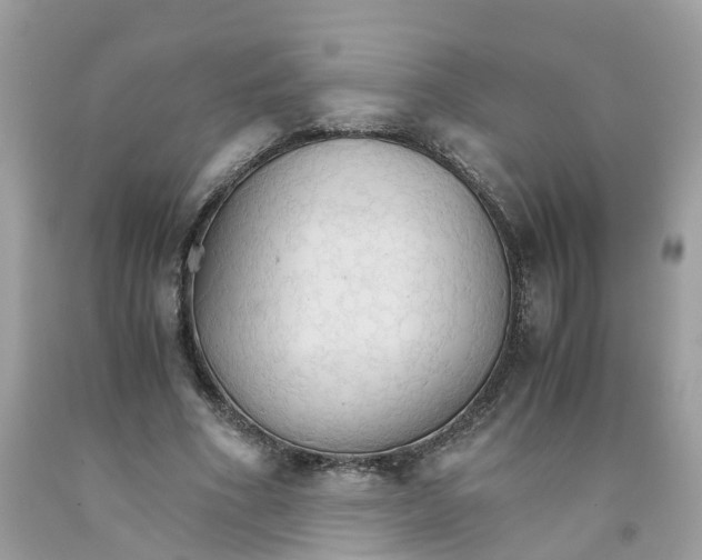 X0000091080586200709041242