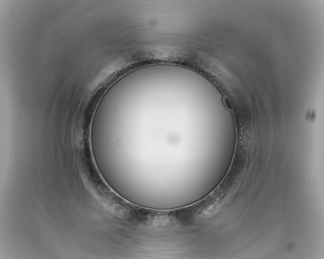 X0000091080587200709041242