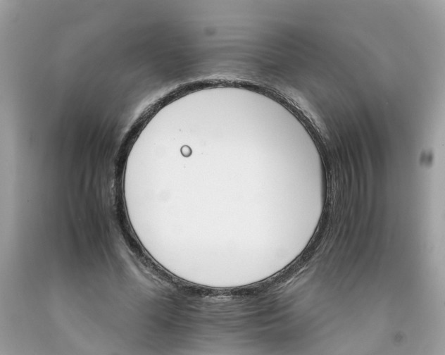 X0000091080588200709041242