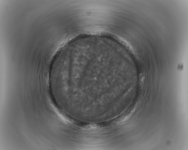 X0000091080589200709041242