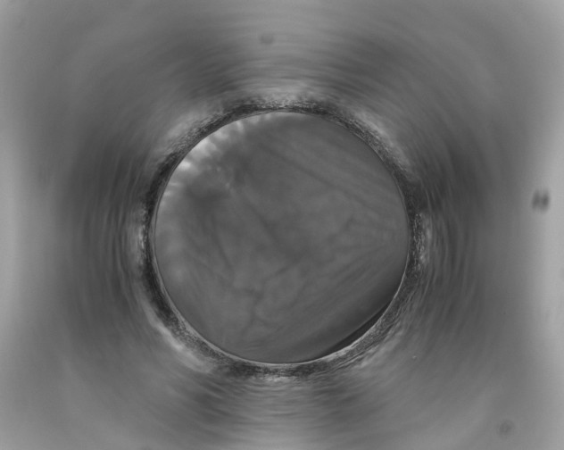 X0000091080590200709041242