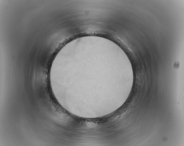 X0000091080592200709041242