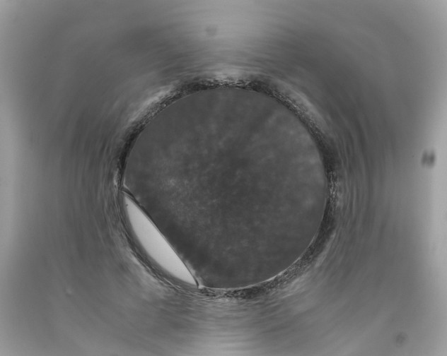 X0000091080593200709041242