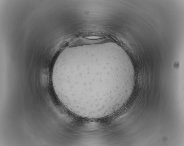 X0000091080594200709041242