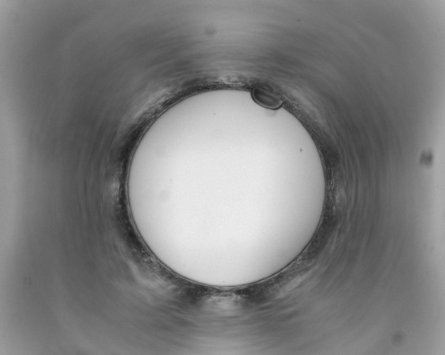 X0000091080595200709041242