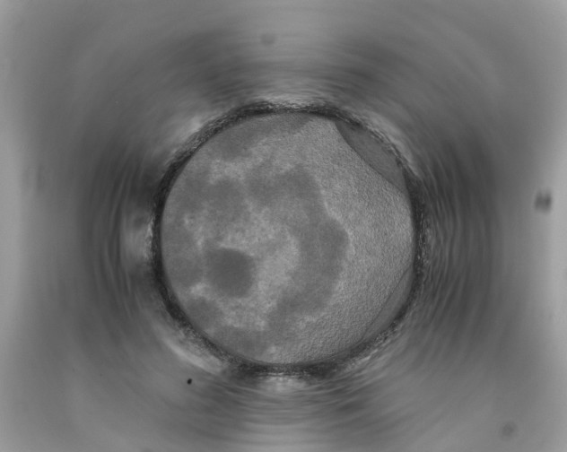 X0000091080596200709041242