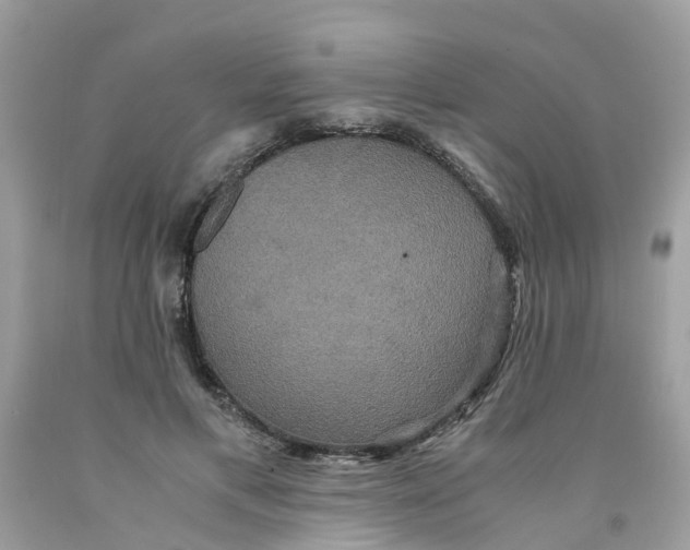 X0000091080597200709041242