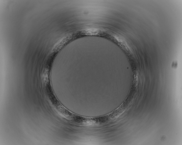 X0000091080598200709041242