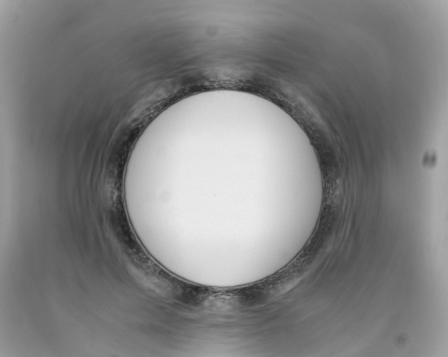 X0000091080599200709041242