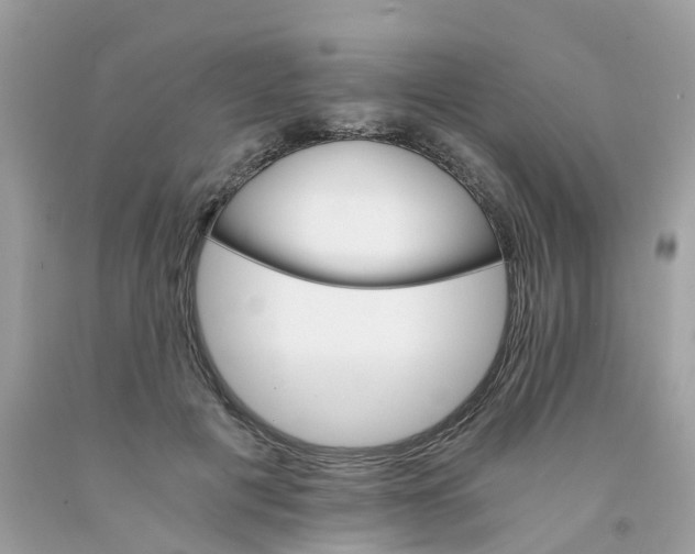 X0000091080601200709041242