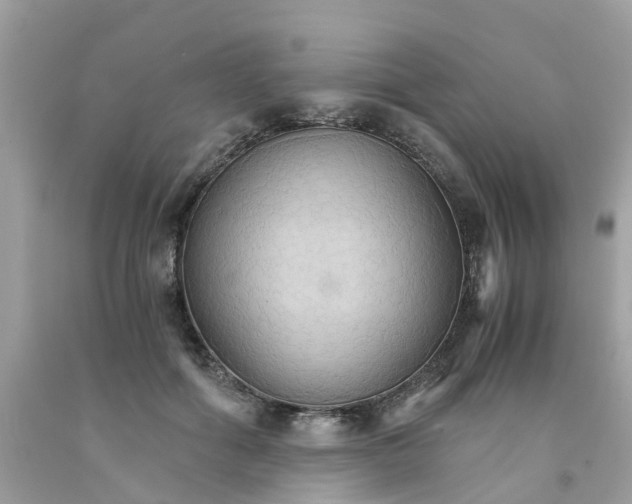 X0000091080602200709041242