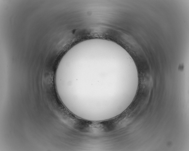 X0000091080603200709041242