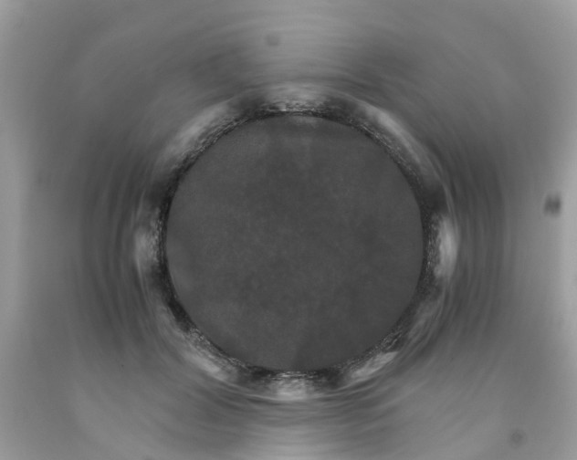 X0000091080604200709041242