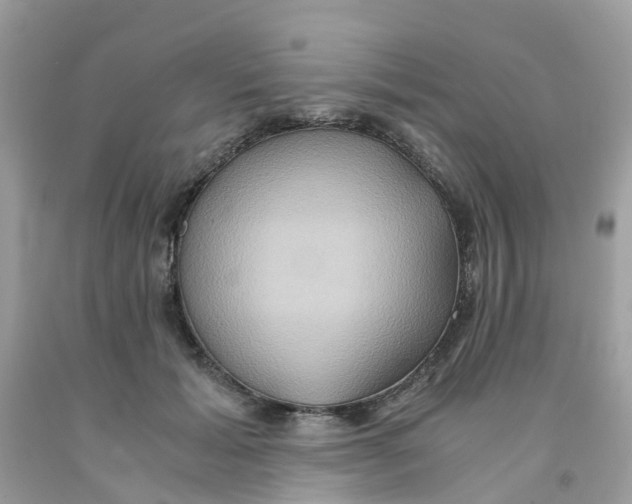 X0000091080605200709041242