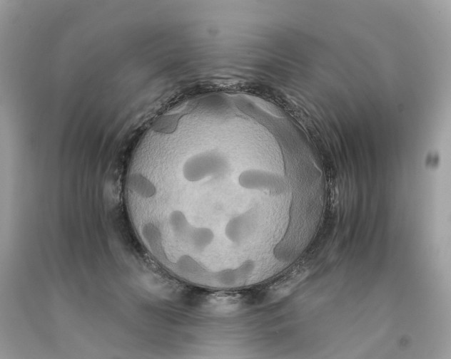 X0000091080606200709041242