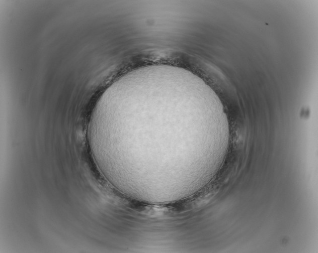 X0000091080607200709041242