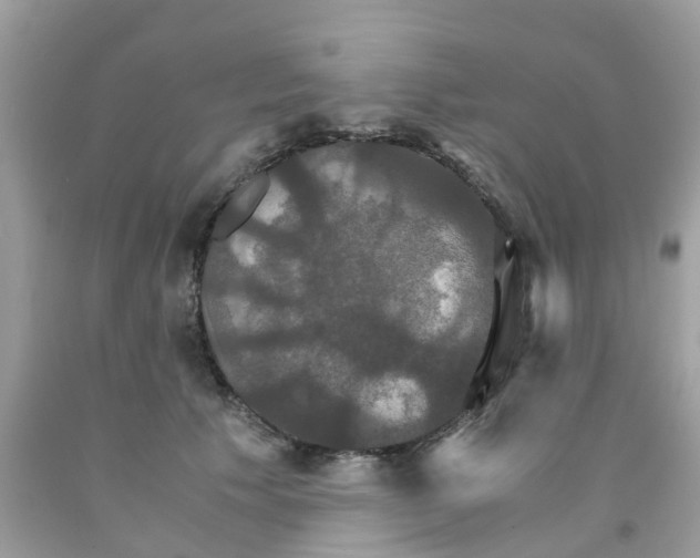 X0000091080609200709041242