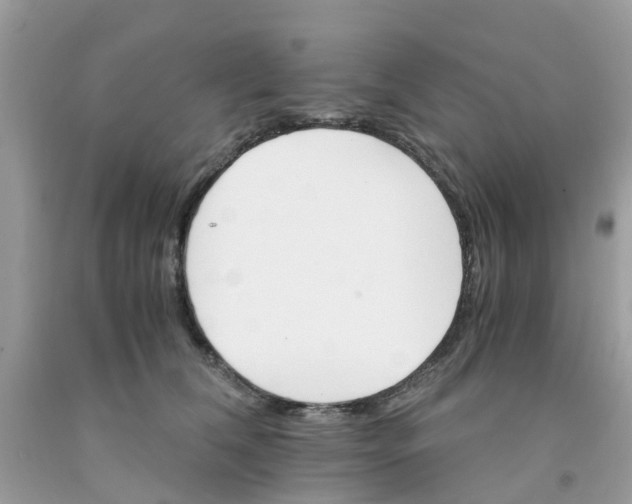 X0000091080612200709041242