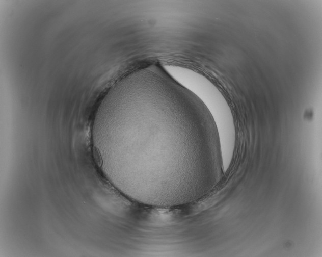 X0000091080613200709041242