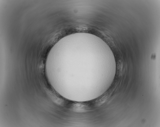 X0000091080614200709041242