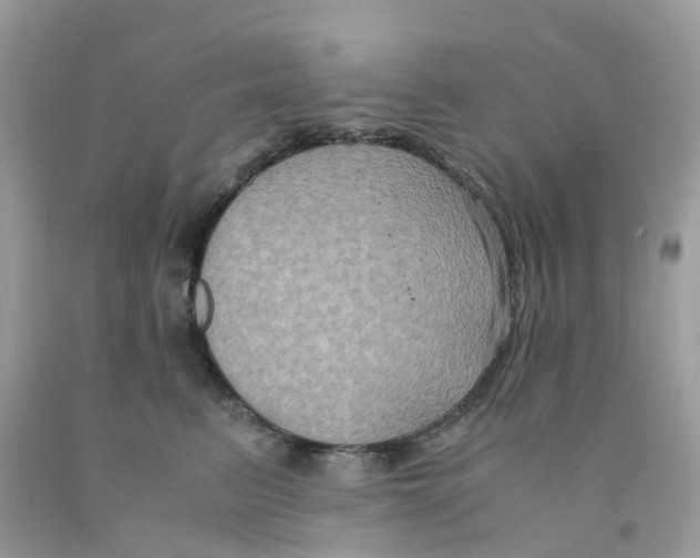 X0000091080615200709041242