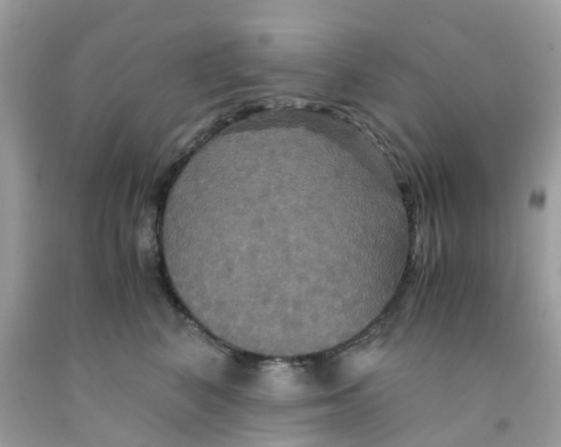 X0000091080616200709041242