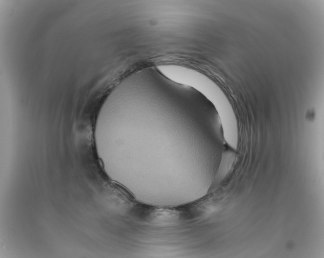 X0000091080617200709041242