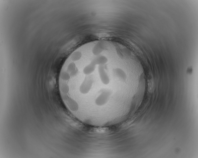 X0000091080618200709041242