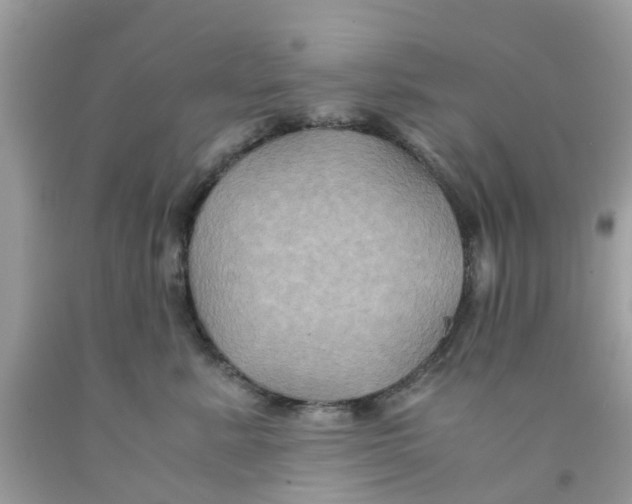 X0000091080619200709041242