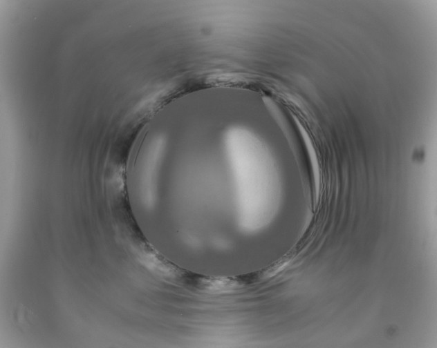 X0000091080621200709041242