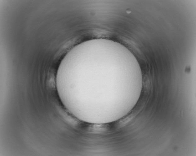 X0000091080622200709041242