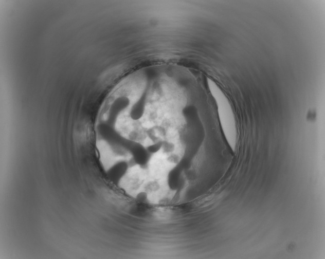 X0000091080623200709041242