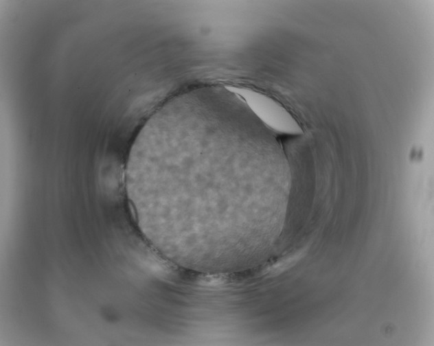 X0000091080624200709041242