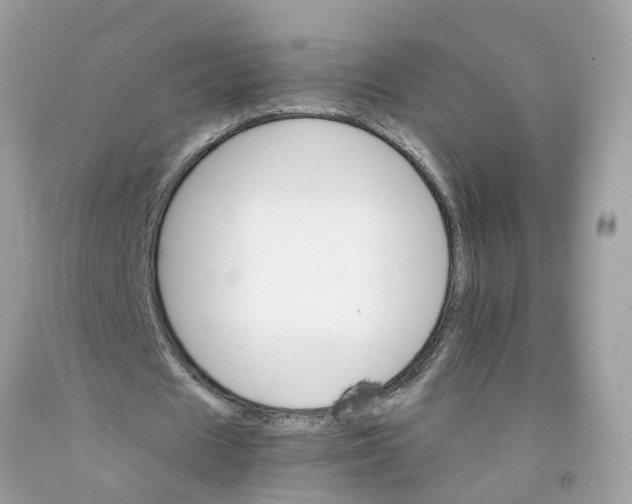 X0000091080625200709041241