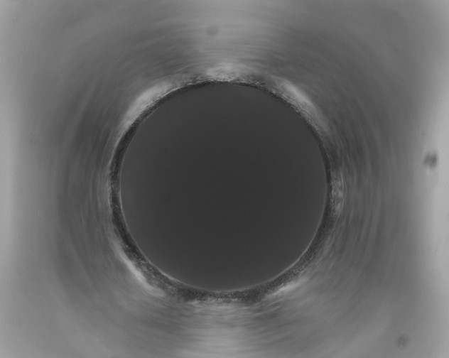 X0000091080626200709041241