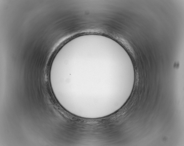 X0000091080628200709041241