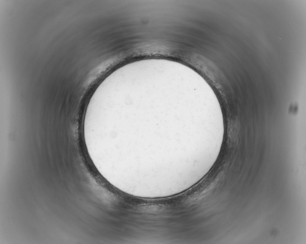 X0000091080629200709041241