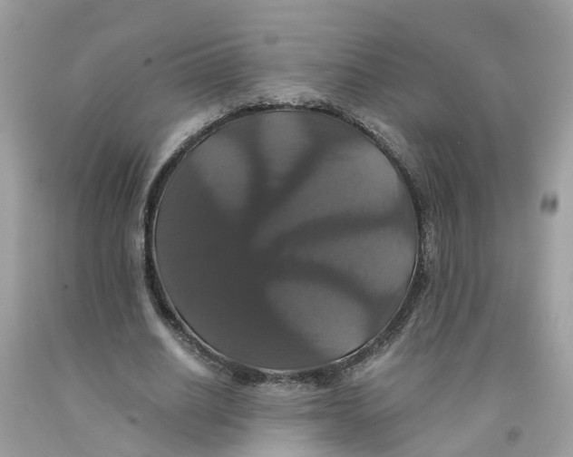 X0000091080630200709041241