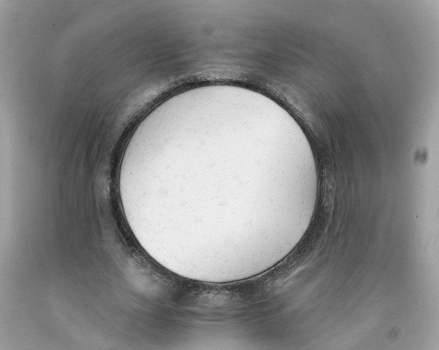 X0000091080631200709041241