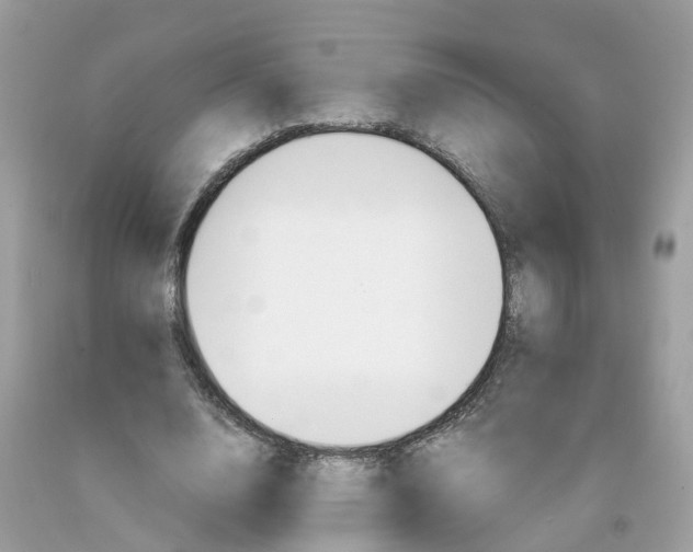 X0000091080632200709041241