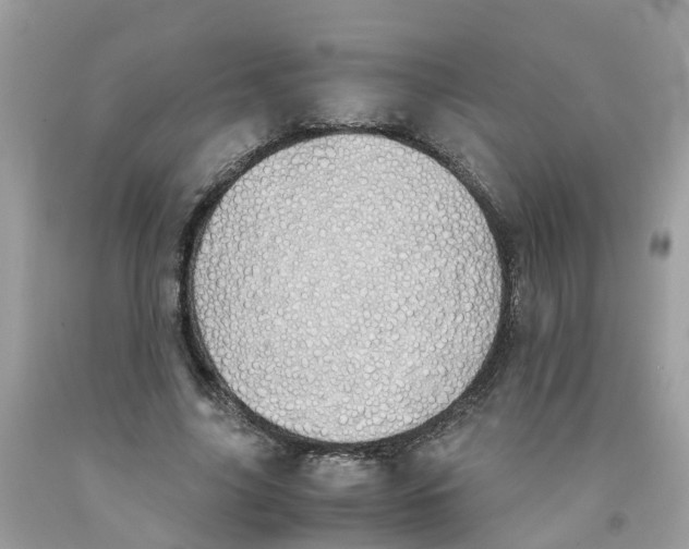 X0000091080635200709041241