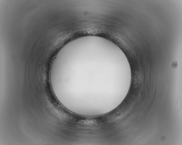 X0000091080639200709041241